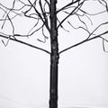 AECOJOY 3 Pac Christmas Tree with Purple Lights, 4FT 5FT and 6FT, Lighted Black Tree for Halloween Decoration